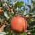 老板好，我是代办，8月9日目前嘎啦苹果🍎正在大量走货中