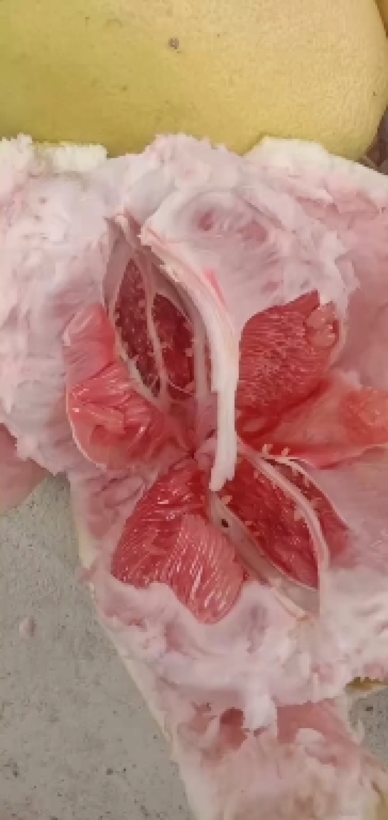 热卖《红心蜜柚》产地大量上市，大量供电商，市场，商超，