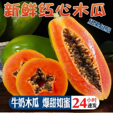 热卖《红心冰糖木瓜》果园直采，大量供电商，市场，加工