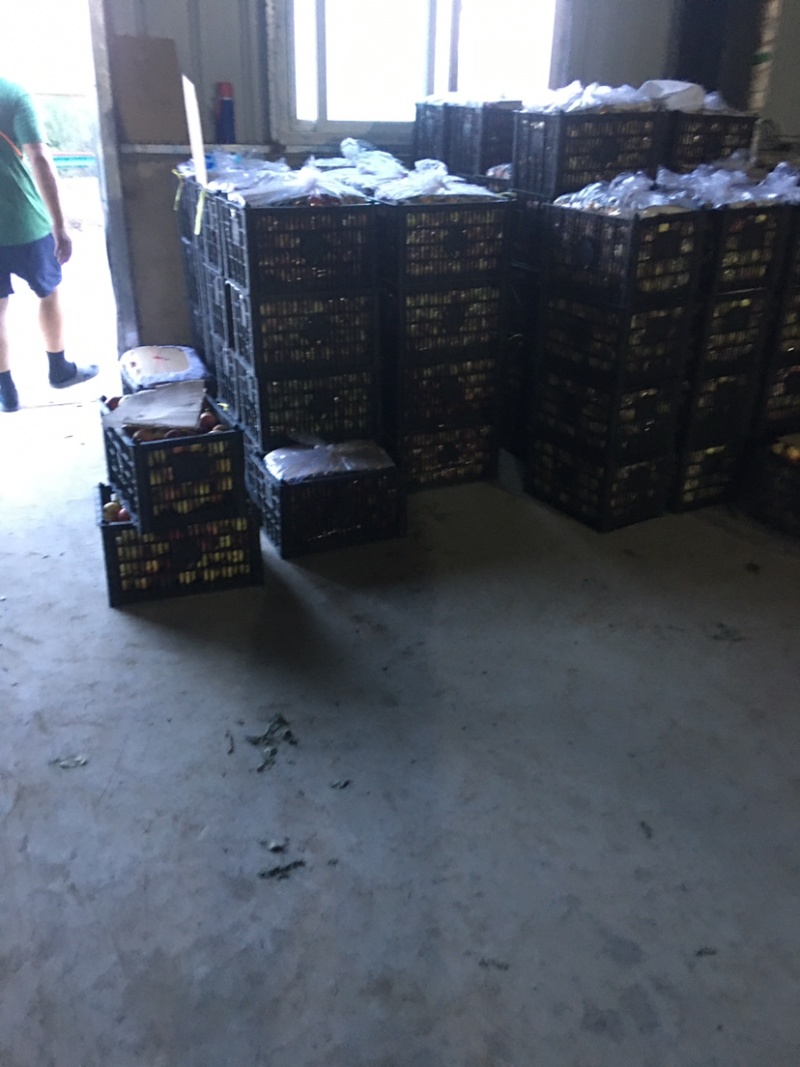纸袋华硕苹果大量供应产地直发一手货源质量保证全国发货