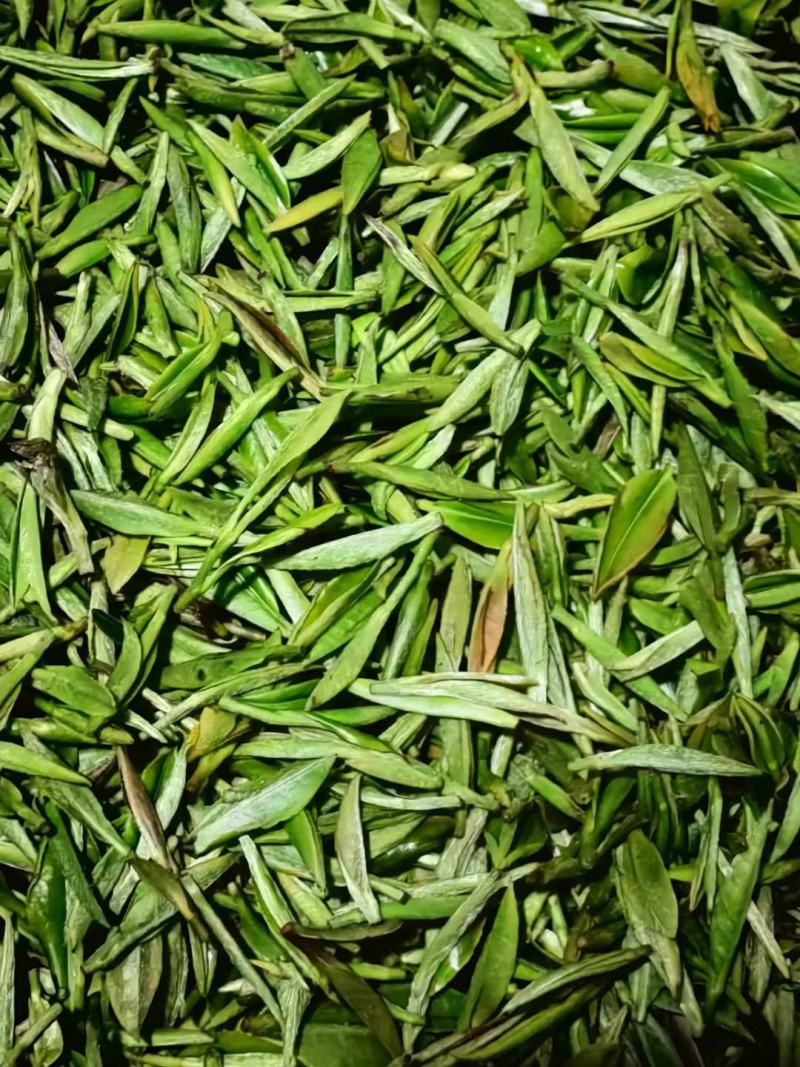 四川雅安【蒙顶山茶】竹叶青蒙顶甘露品质保证欢迎咨询