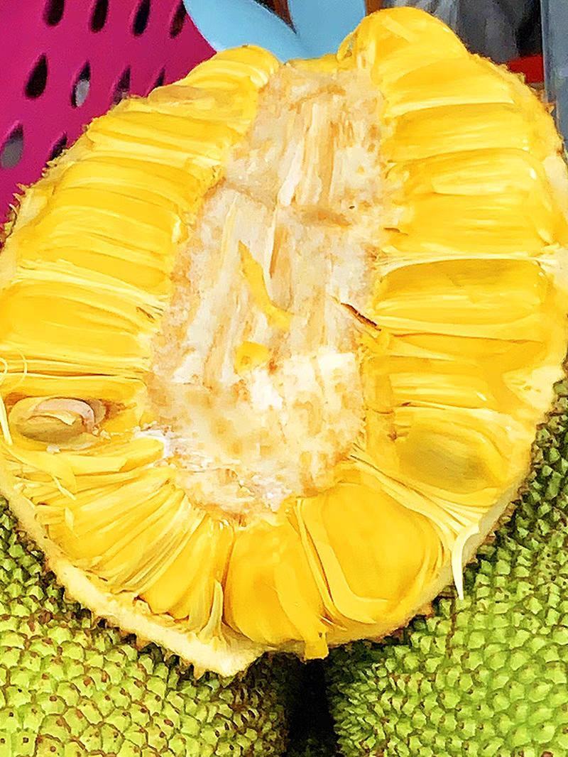 热卖产地《菠萝蜜》，品质好，价格美丽供电商，市场，工厂