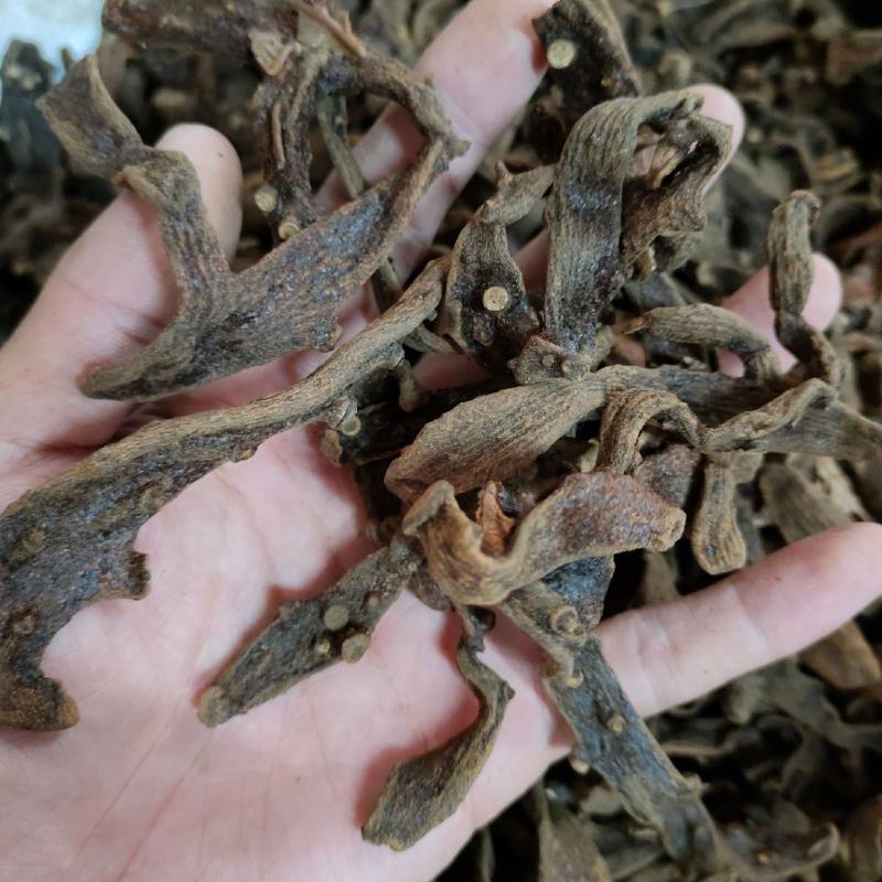 【骨碎补】中药材生骨碎补申姜猴姜当季新货骨碎补包邮