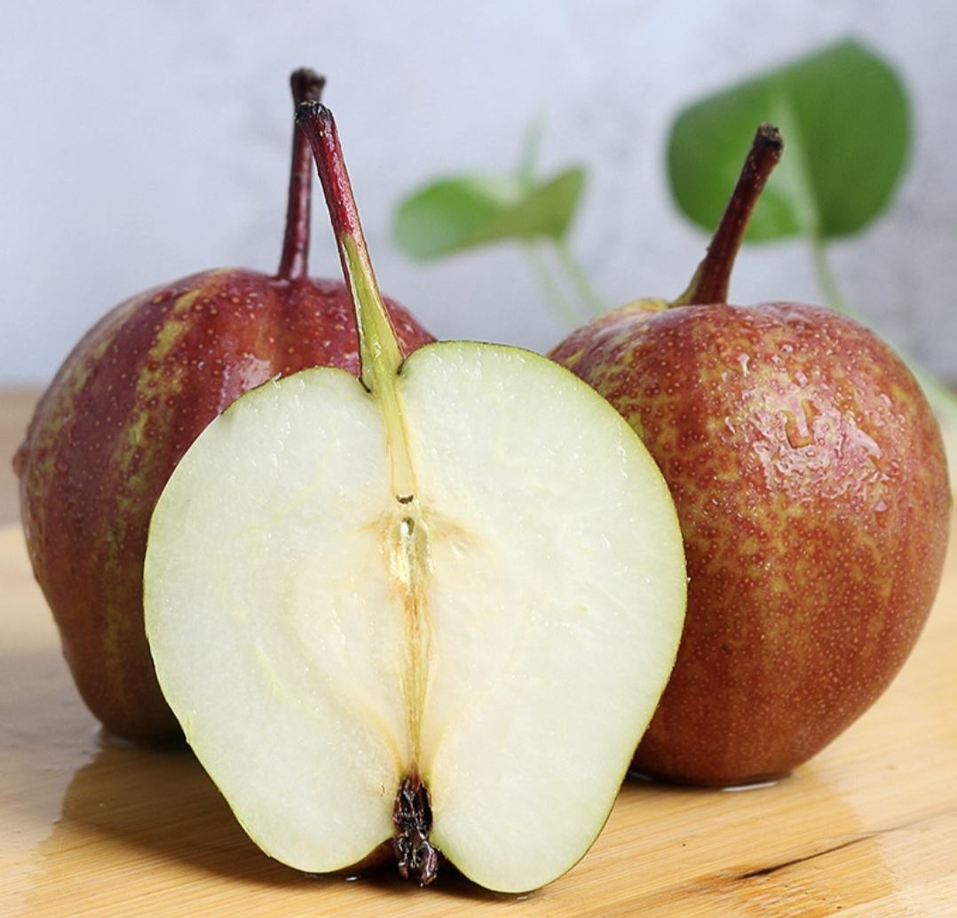 高清早红酥梨果实特写,展示红色果皮与白色果肉的对比效果 早红酥梨果实特写