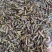 山东临沂蝗虫活体蚂蚱，冷冻蚂蚱串半成品加工欢迎采购