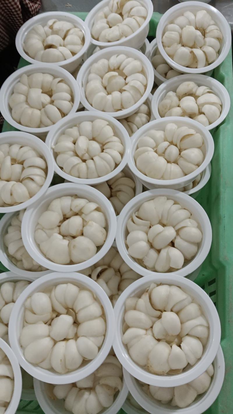 兰州甜大小两头大小三头大小四头12头各种规格饭店商务批发