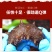 即食海参深海米刺参可单只装5-9只一斤参王多省包邮