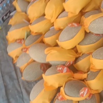 西洲蜜