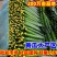 【发货量大】山东黄瓜亮条黄瓜鲜花，社区团购电商，赶集市场