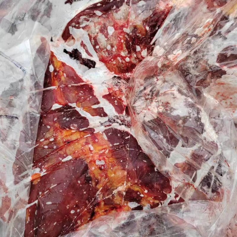 马肉内蒙古通辽产地直发诚信经营质量保证欢迎电联采购