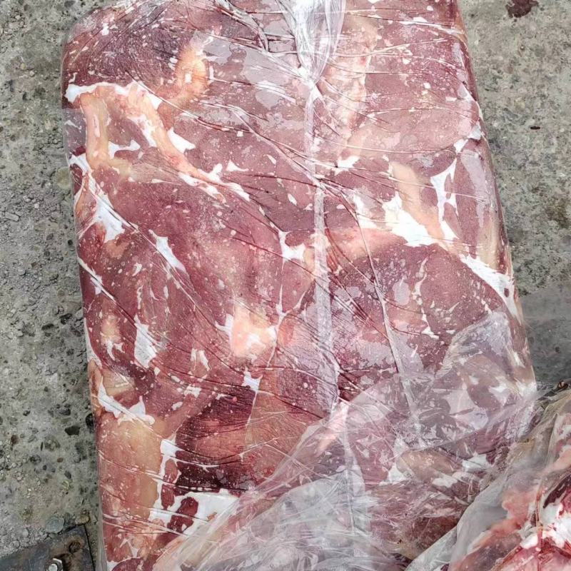 马肉内蒙古通辽产地直发诚信经营质量保证欢迎电联采购