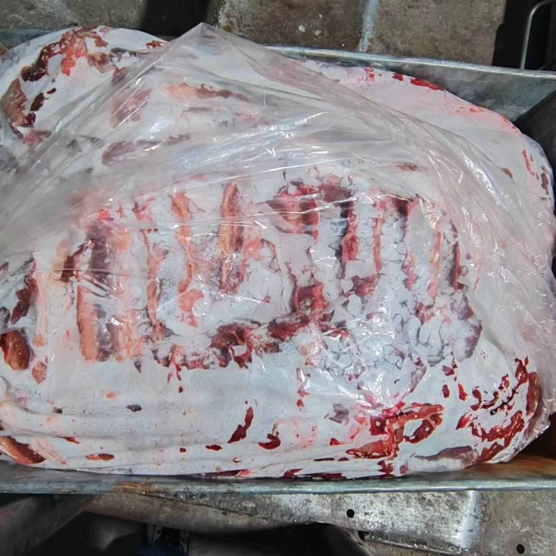 马肉内蒙古通辽产地直发诚信经营质量保证欢迎电联采购