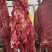 马肉内蒙古通辽产地直发诚信经营质量保证欢迎电联采购