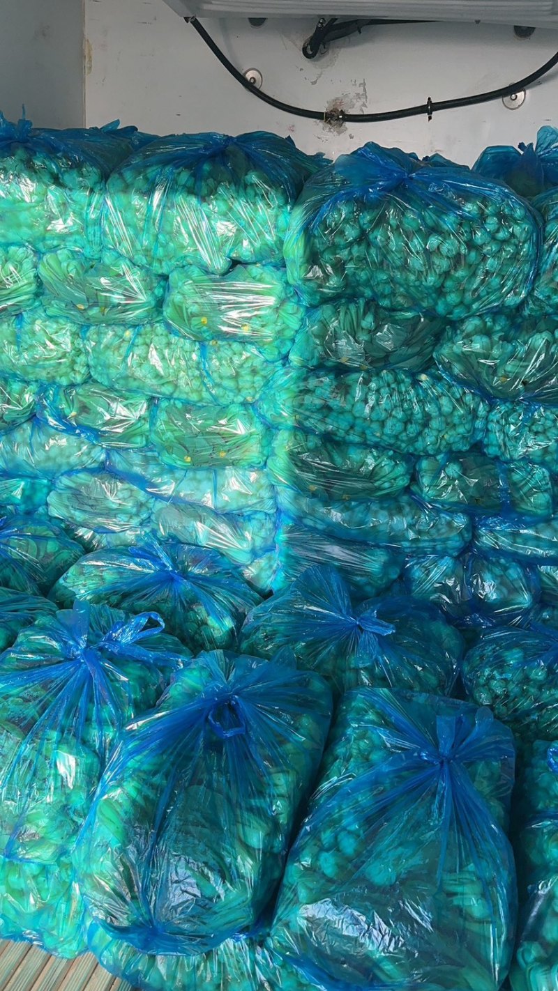 江苏油菜上海青小青菜宁夏菜常年有货一手货源全国代发