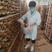 灵芝孢子粉自产自销品质保证货源充足全国发货价格低