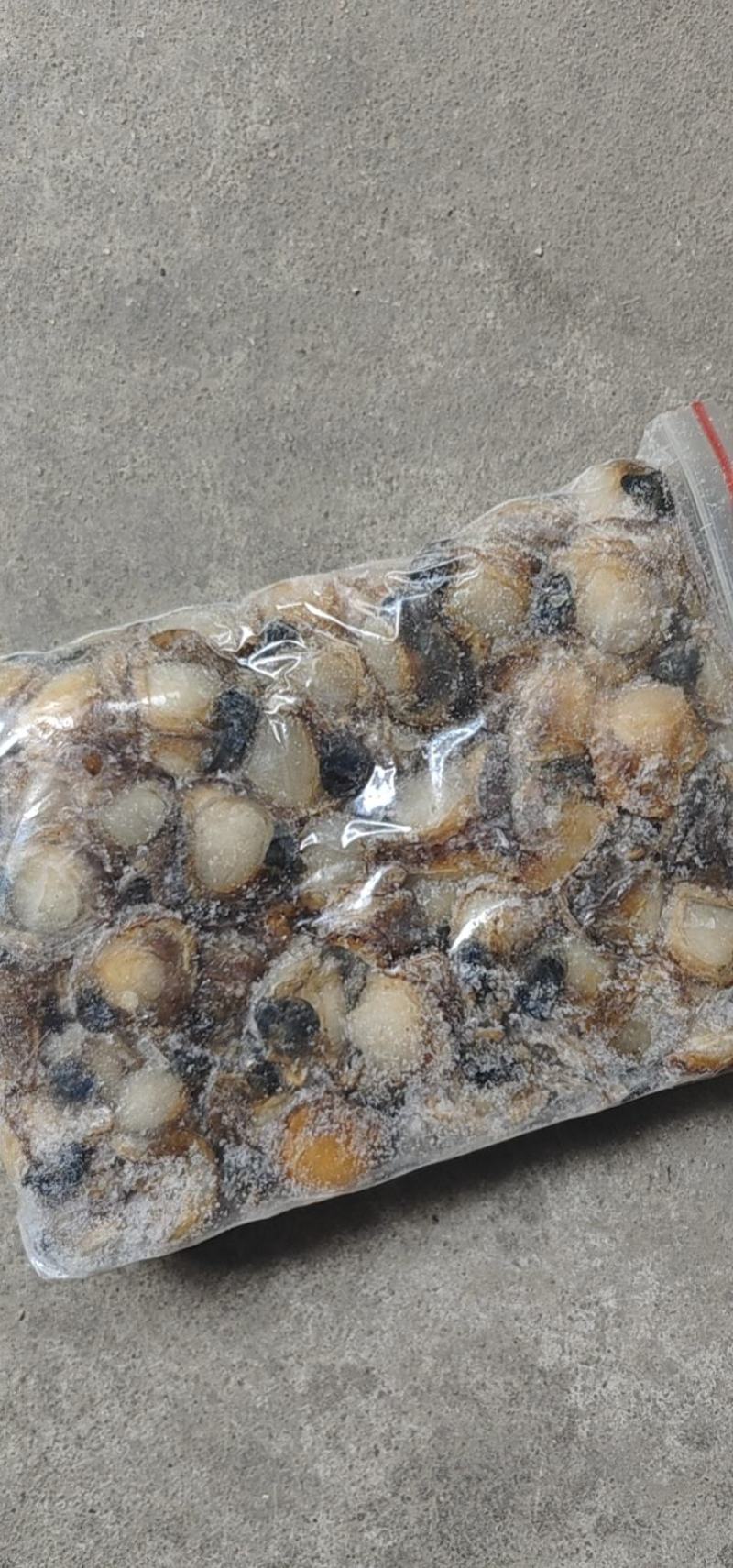 扇贝肉新鲜扇贝肉新鲜冷冻鲜活现剥扇贝肉海鲜火锅食材