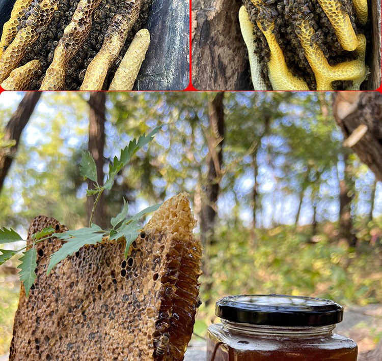 蜂蜜与桑葚分层装罐图示