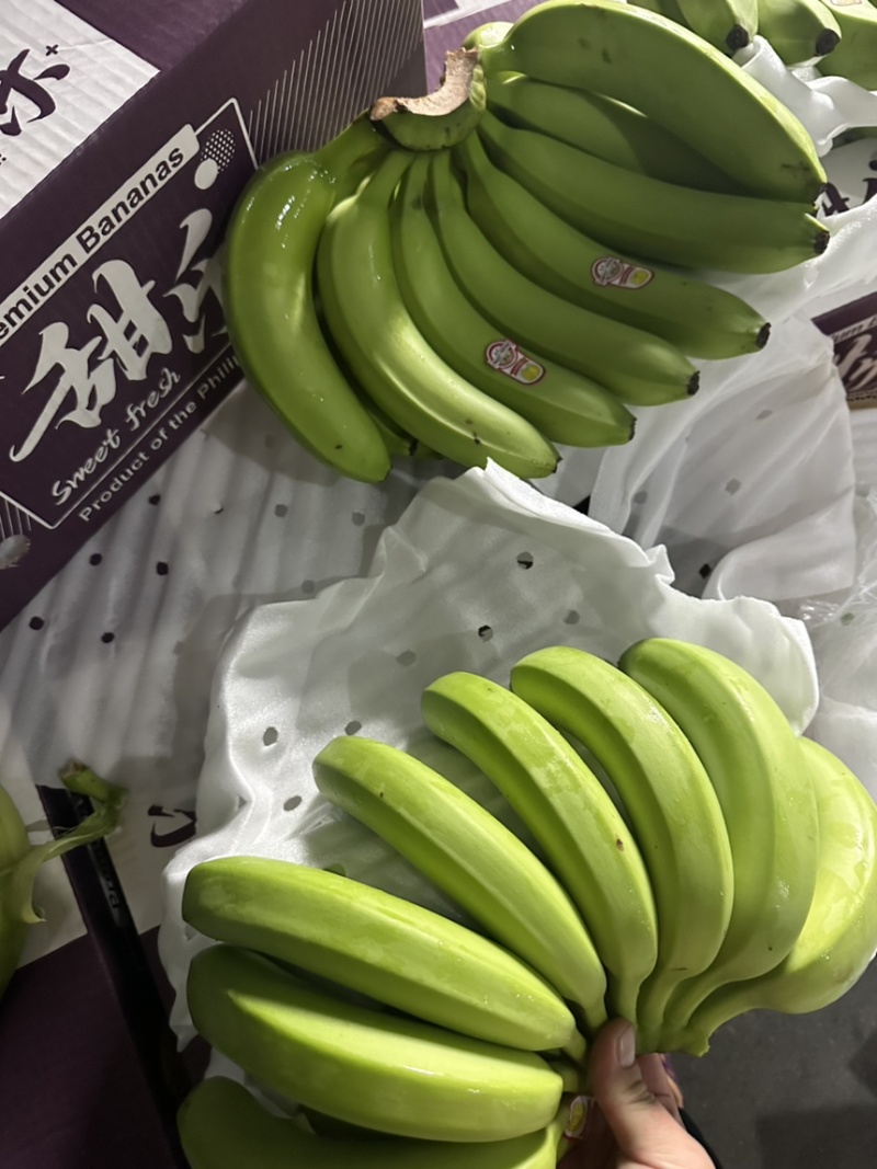 本公司常年大量供应：菲律宾，越南，柬埔寨，印尼，南美香蕉
