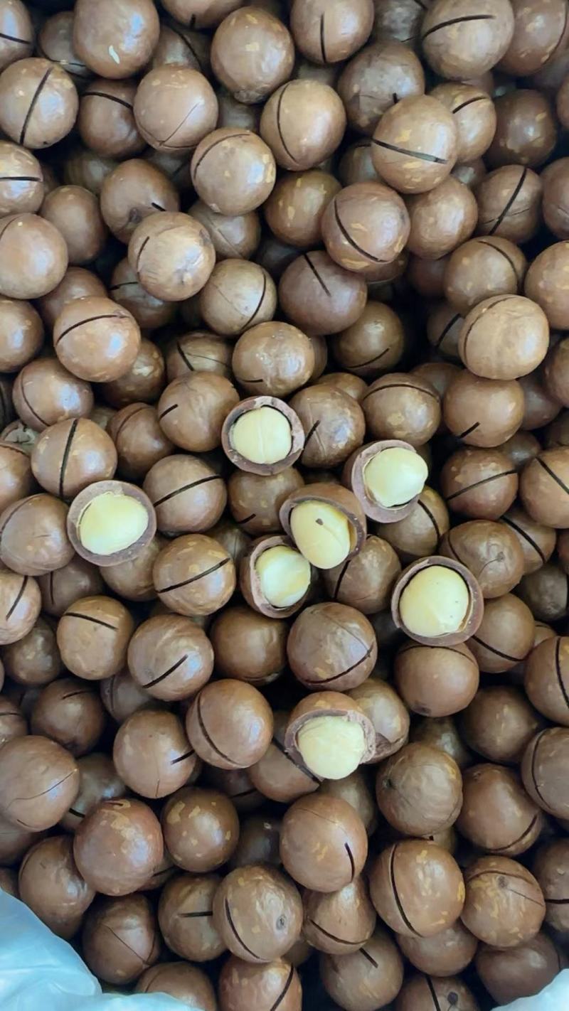 包邮夏威夷果壳薄易剥大颗粒奶香坚果炒货休闲零食量大优惠