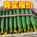 【万亩黄瓜，大量上市】电商货量大便宜，净棚陆地暖冷棚上货