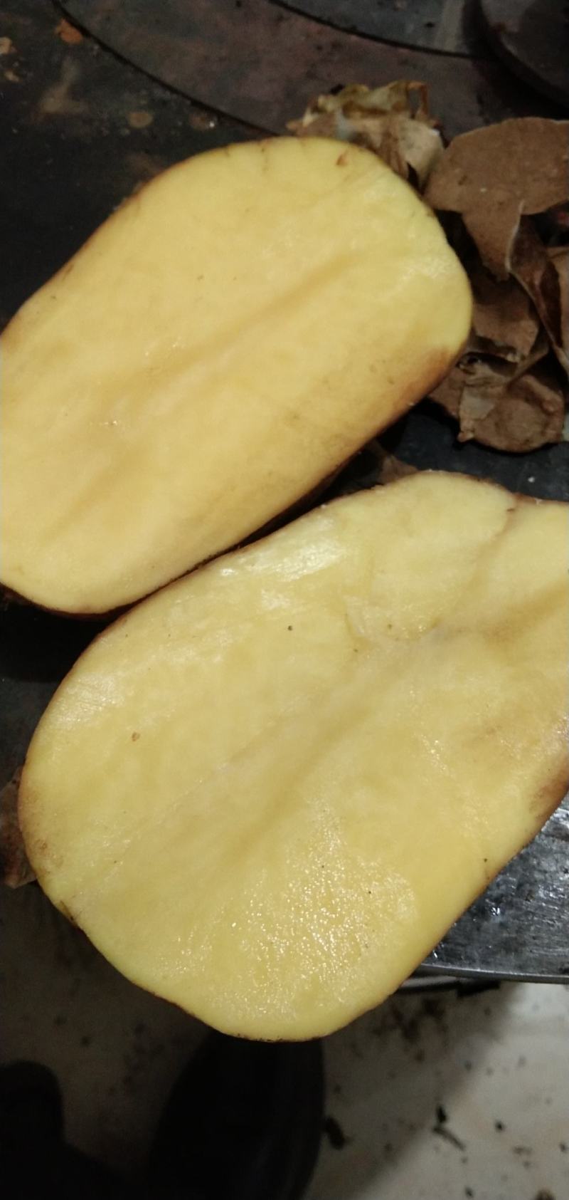 九号土豆高原土豆口感鲜美！优秀好吃，粉质高