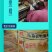 纯正草鸡苗,耐粗饲,疫苗齐全,伤亡率低,运输伤亡包赔