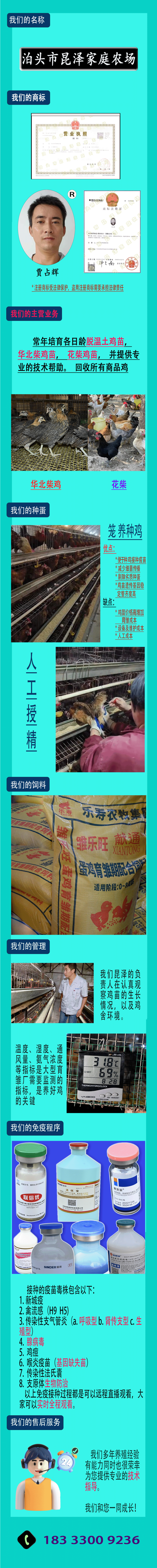 纯正草鸡苗，耐粗饲，疫苗齐全，伤亡率低，运输伤亡包赔