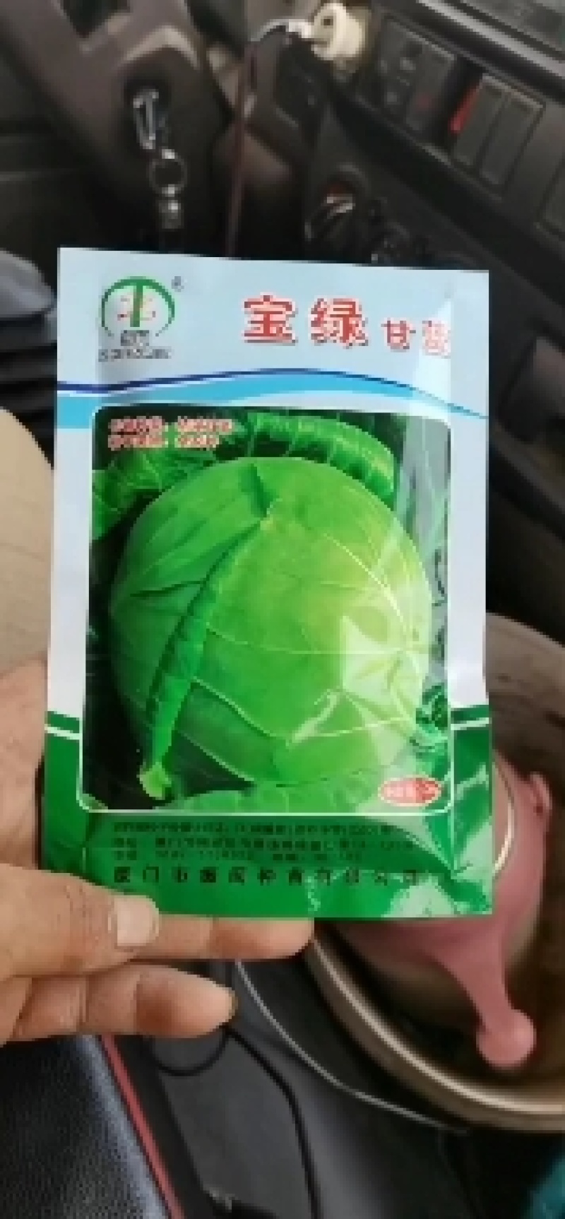 包菜苗甘蓝苗粗壮漂亮根系发达成活率高省内大巴直达