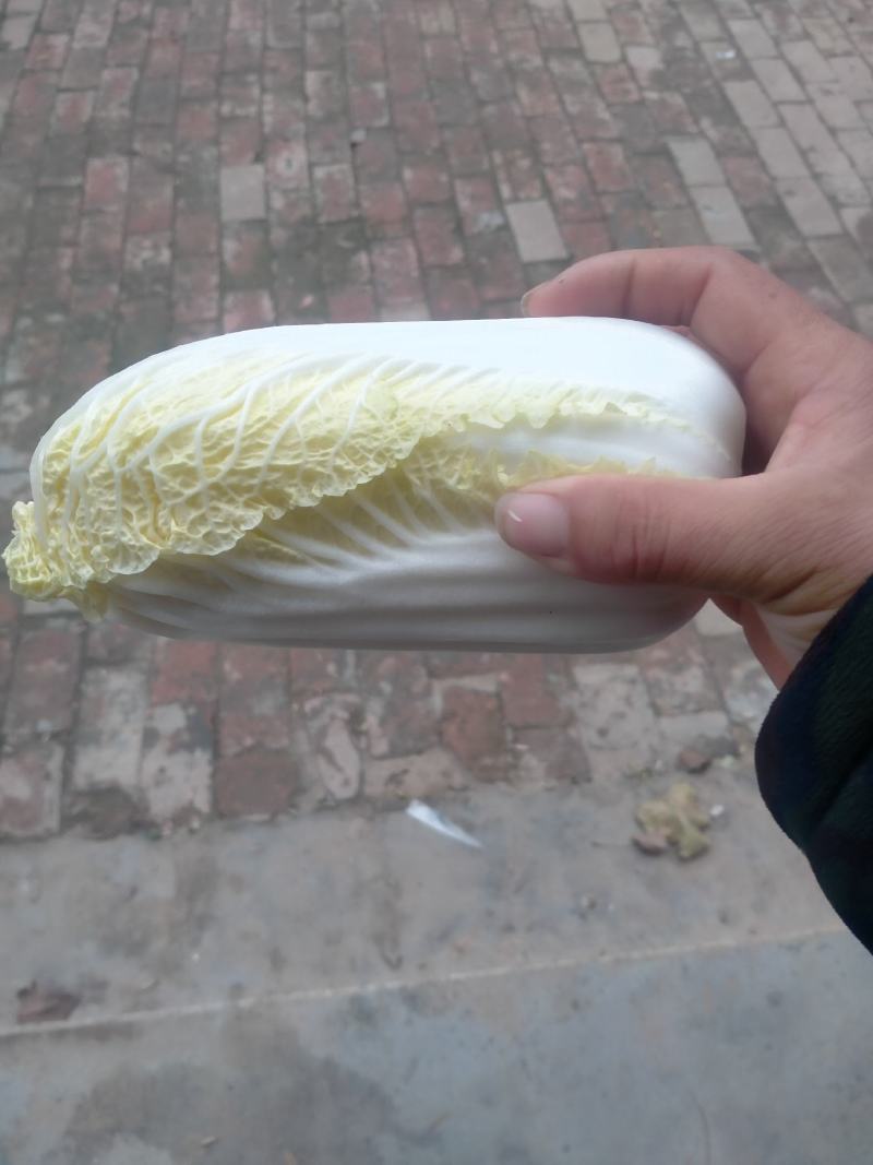 精品娃娃菜基地，净菜打包，产地直发/一手货源。