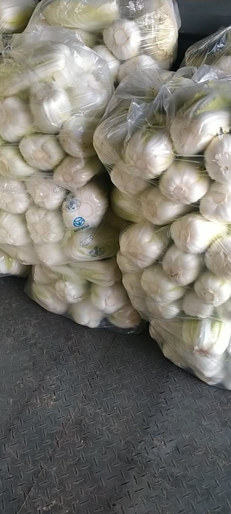 娃娃菜，黄心娃娃菜，产地直发/一手货源！