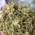 贵州贞丰高山金银花茶浓浓的清香味，清香扑鼻