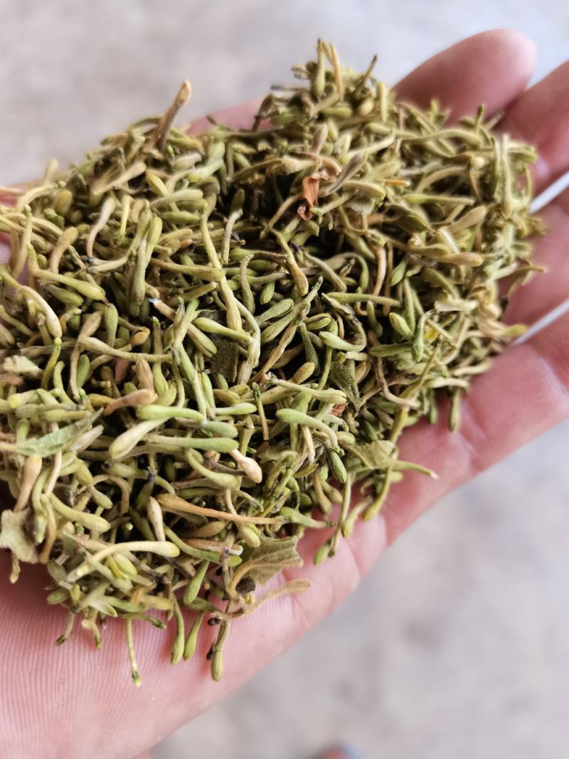 贵州贞丰高山金银花茶浓浓的清香味，清香扑鼻