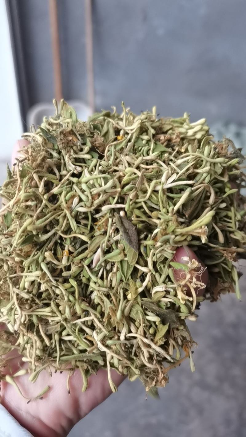 贵州贞丰高山金银花茶浓浓的清香味，清香扑鼻