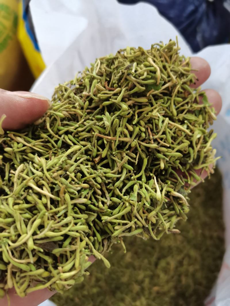 贵州贞丰高山金银花茶浓浓的清香味，清香扑鼻