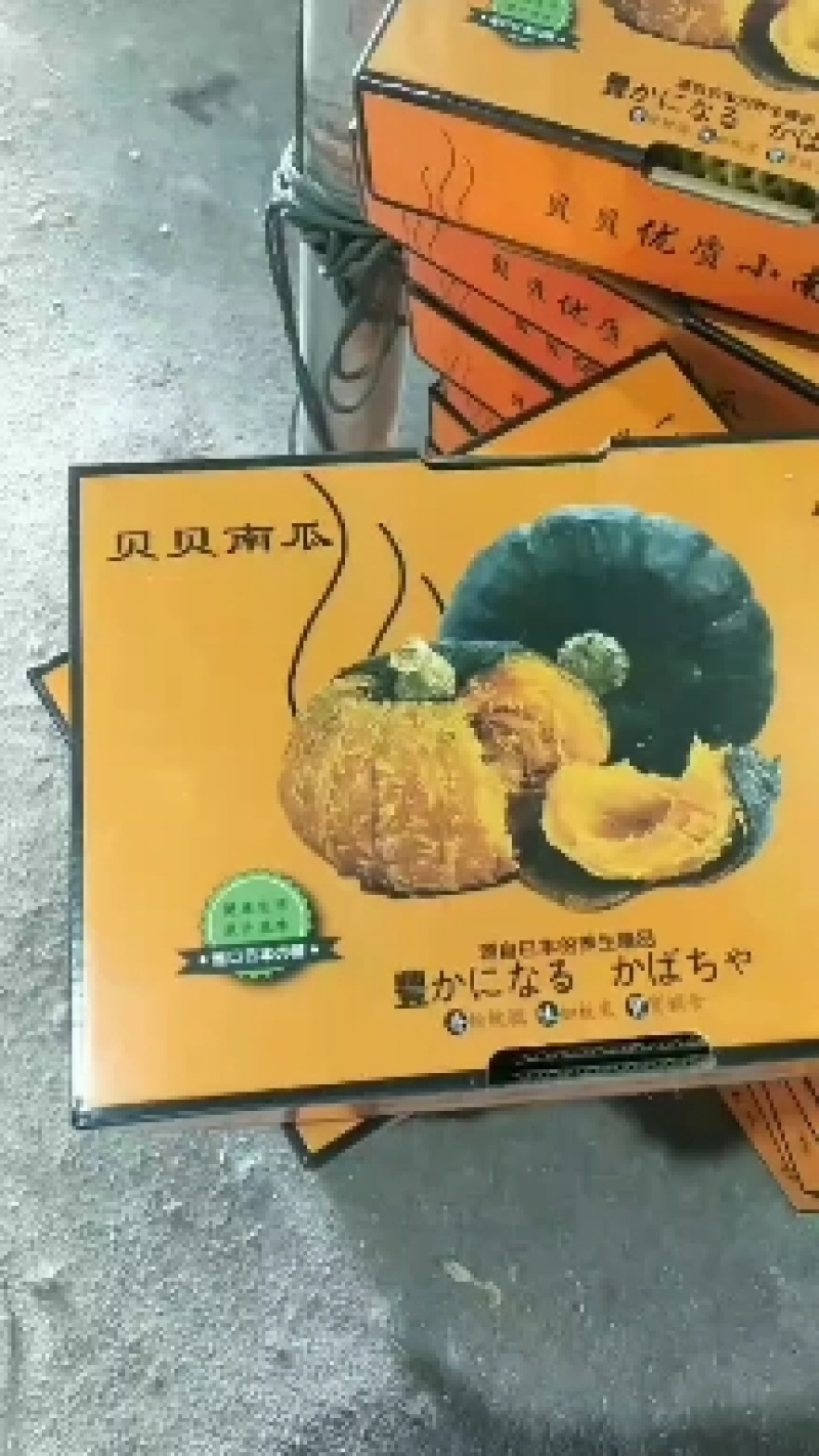 出售惠和优质爆粉贝贝南瓜，产地供应，批发价格