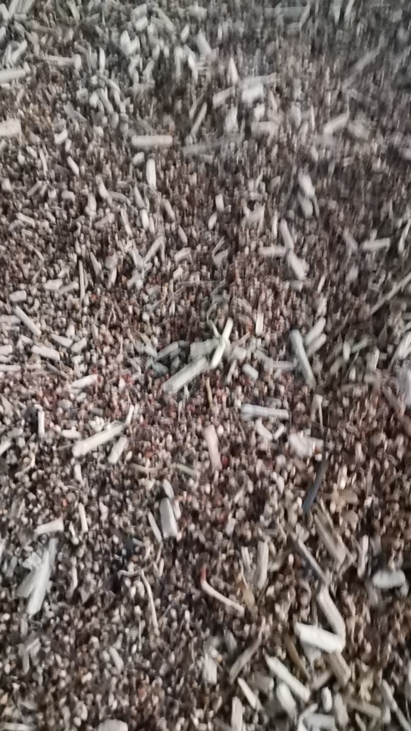 高粱壳