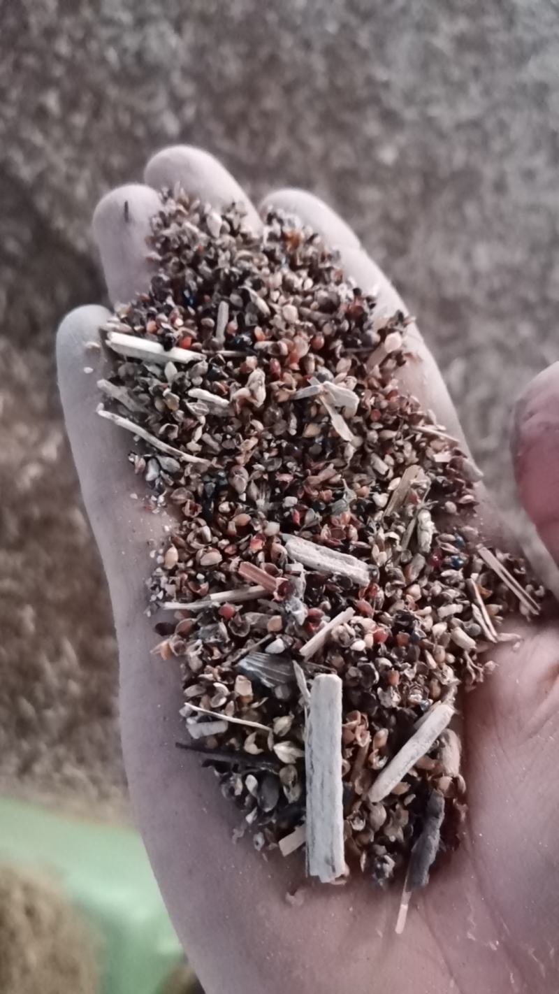 高粱壳