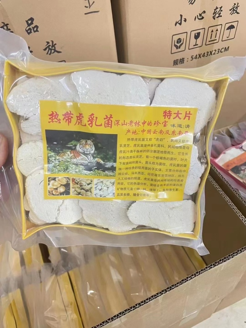 选装大片虎奶菇，大量现货