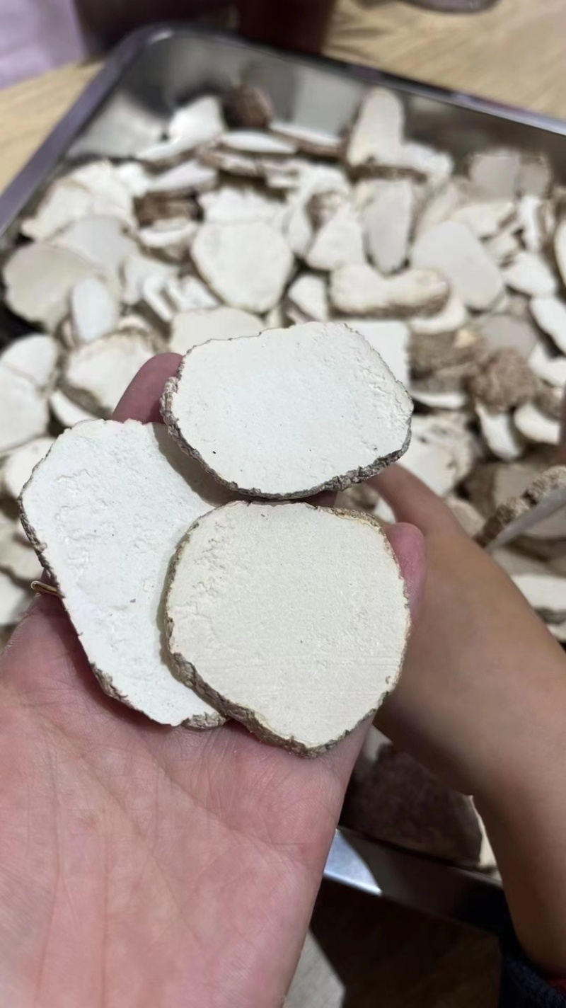选装大片虎奶菇，大量现货