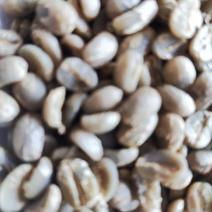 云南咖啡厂家产地货源各和规格生豆烘焙豆(可磨粉)挂耳