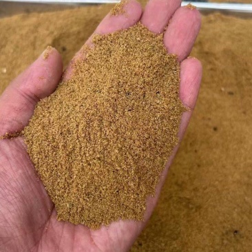 喷浆豆渣，可代替豆粕，玉米，麸皮，鱼粉，