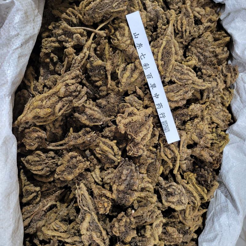 鸡爪黄连黄莲产地货源大货供应规格齐全七彩百草中药