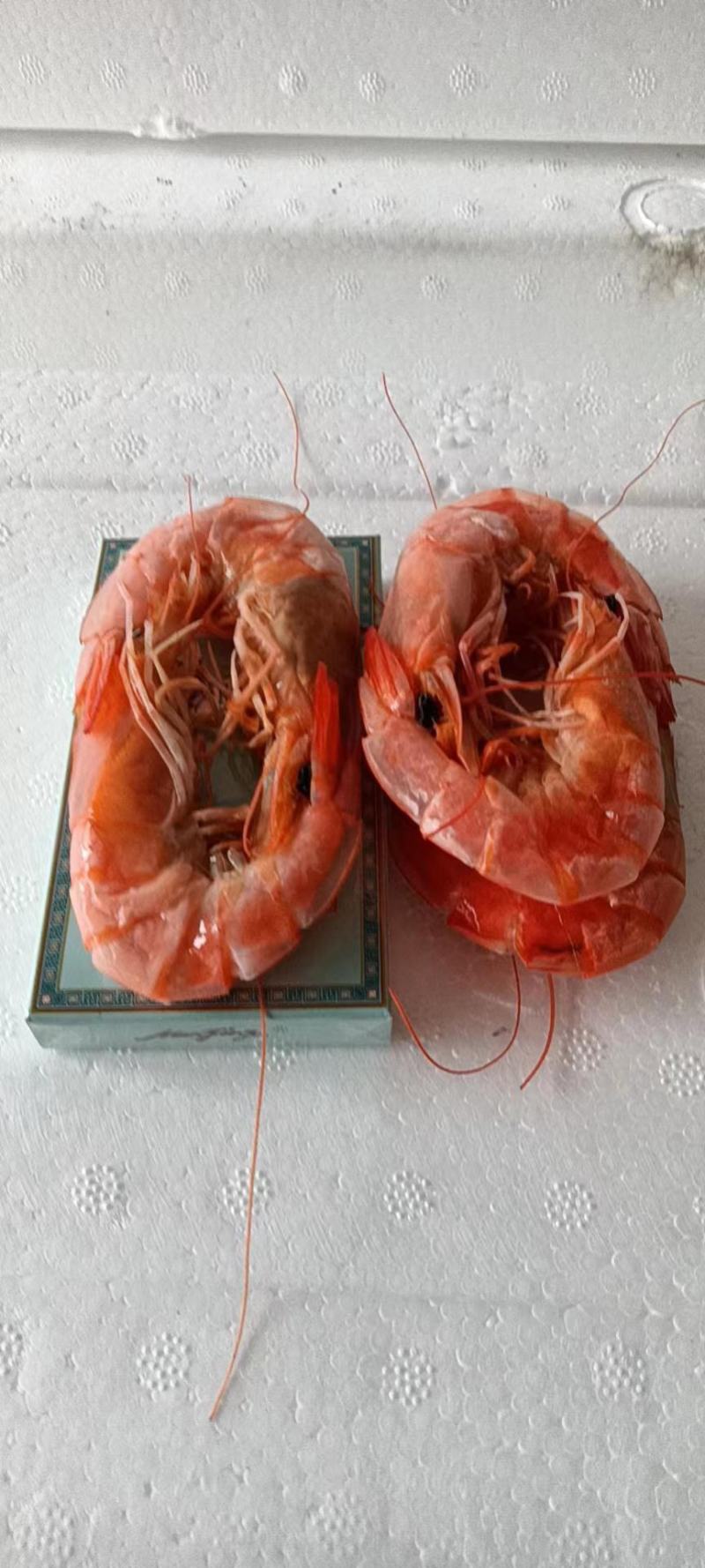 渤海湾烤虾干，海水活虾碳烤，现烤现发，一手货源
