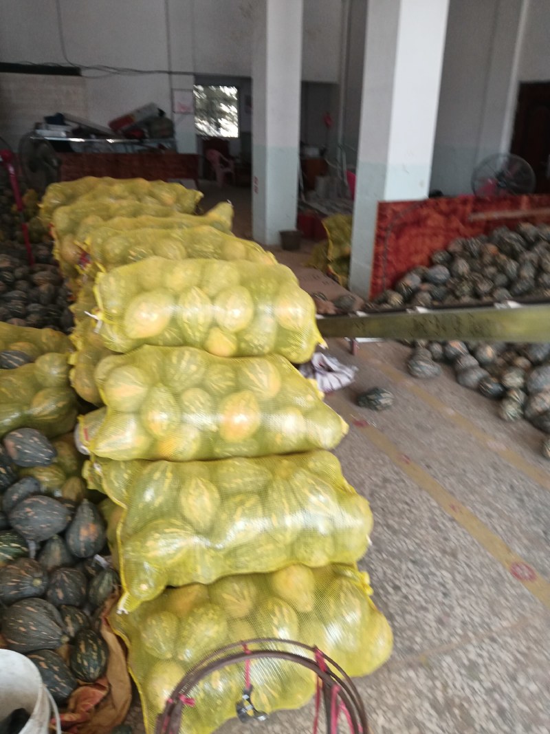 香芋南瓜大量上市产地直发一手货源欢迎选购