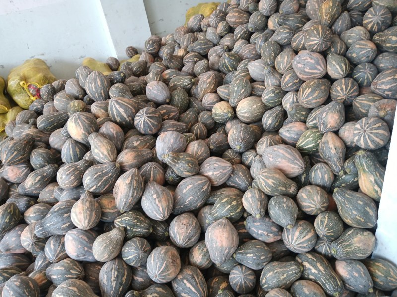 香芋南瓜大量上市产地直发一手货源欢迎选购