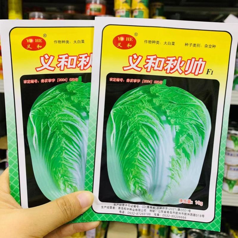 义和秋帅大白菜种子山东秋白菜种子蔬菜基地专用结球白菜种子