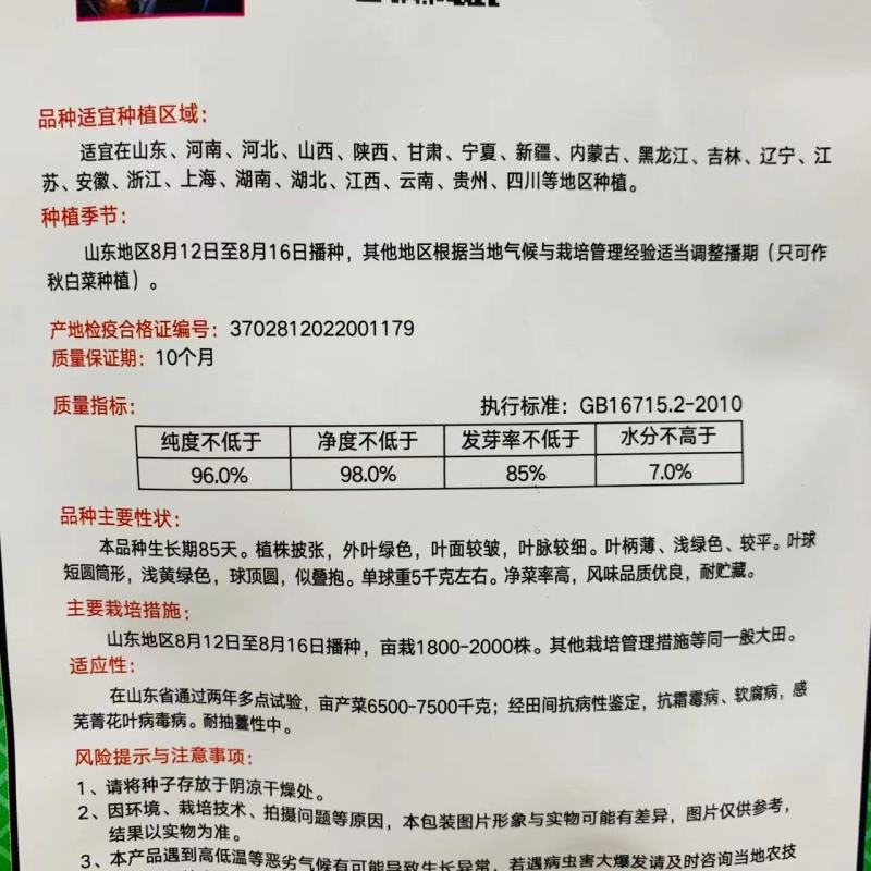 义和秋帅大白菜种子山东秋白菜种子蔬菜基地专用结球白菜种子