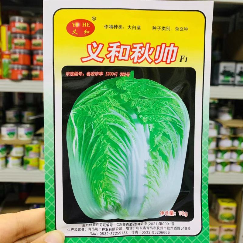 义和秋帅大白菜种子山东秋白菜种子蔬菜基地专用结球白菜种子