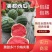 美都西瓜东台精品美都麒麟西瓜产地直发全国
