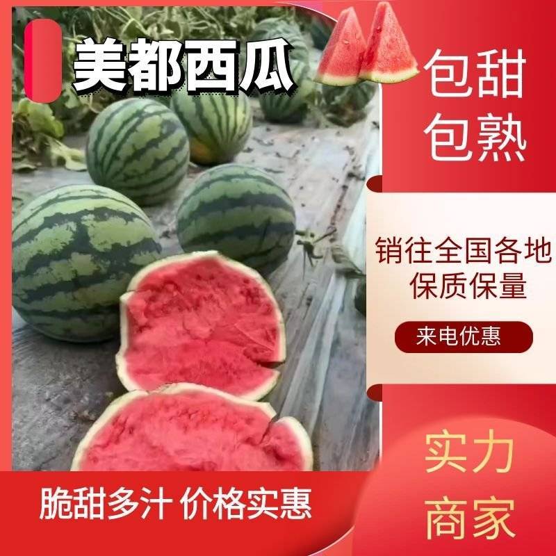 美都西瓜东台精品美都麒麟西瓜产地直发全国